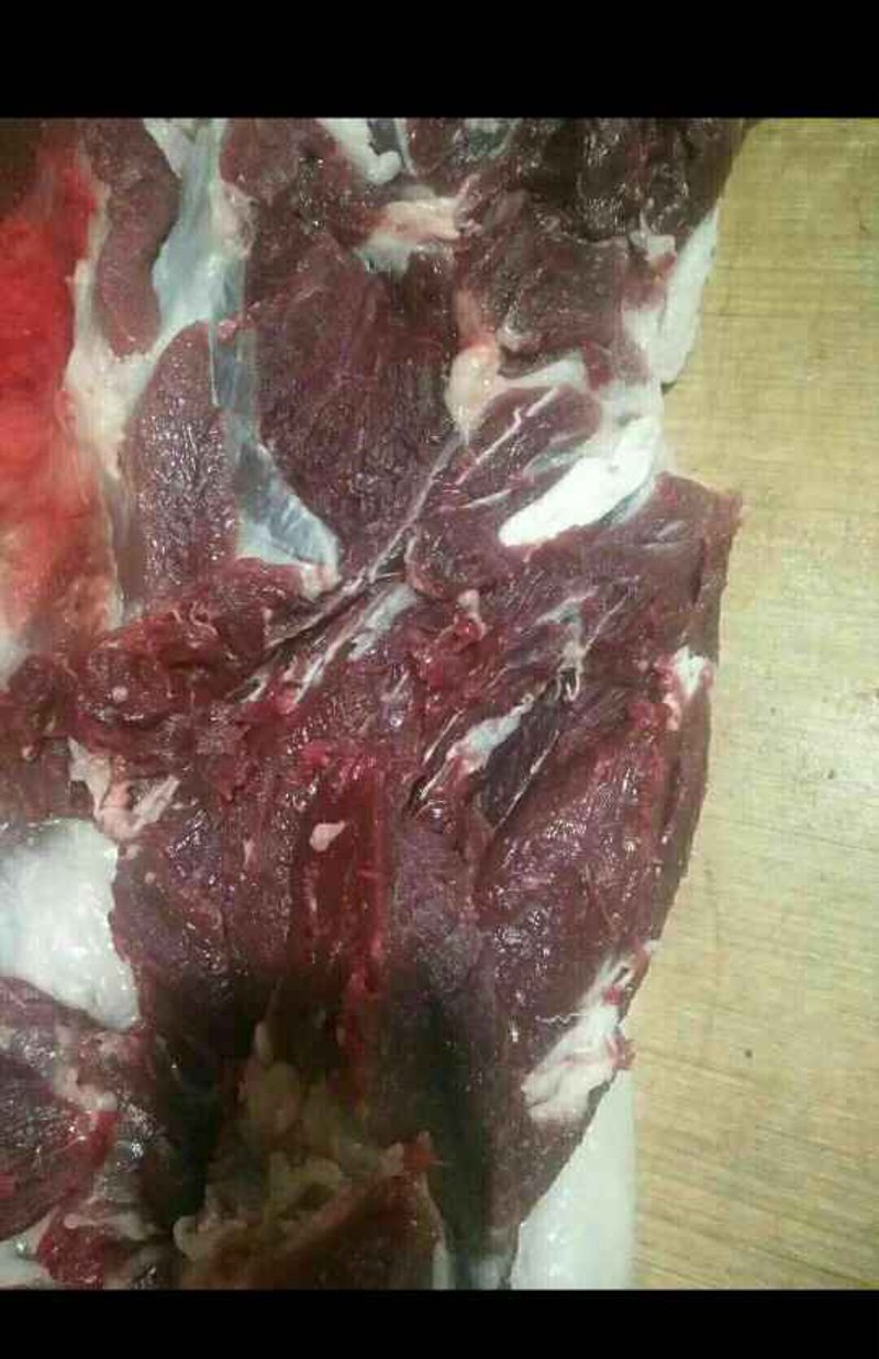走进怀宁生猪养殖:传统与现代交织的新篇章